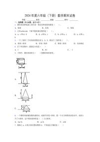 2024年度六年级（下册）数学期末试卷及详细答案解析59