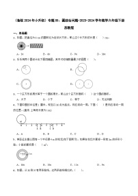 （备战2024年小升初）专题05：圆综合问题-2023-2024学年数学六年级下册苏教版