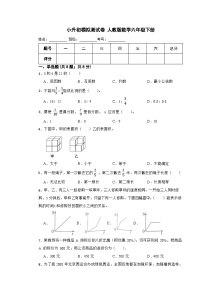 小升初模拟测试卷（试题）-2023-2024学年人教版数学六年级下册