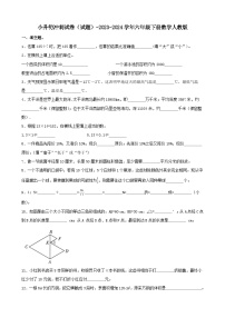 小升初冲刺试卷（试题） 2023-2024学年六年级下册数学人教版