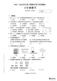 四川省成都市高新技术产业开发区2023-2024学年六年级下学期期末数学试题