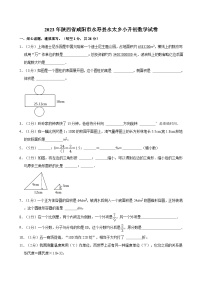 2023年陕西省咸阳市永寿县永太乡小升初数学试卷