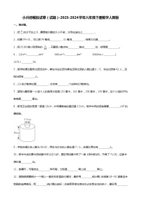 小升初冲刺试卷（试题）-2023-2024学年六年级下册数学人教版