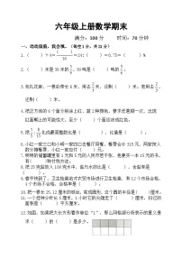+期末测试卷（试题）-2023-2024学年六年级上册数学青岛版
