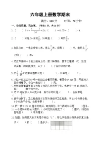 +期末测试卷（试题）-2023-2024学年六年级上册数学青岛版