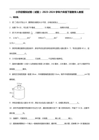 [数学]2023～2024数学年人教版数学六年级下册小升初冲刺试卷（含答案）