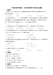 小升初分班考专题03：式与方程-数学六年级下册人教版