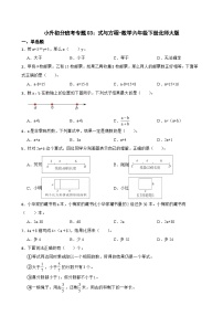 小升初分班考专题03：式与方程-数学六年级下册北师大版