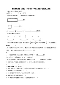 期末模拟试题（试题）-2023-2024学年六年级下册数学人教版(7)