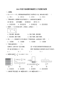 2024年四川省成都市高新区小升初数学试卷