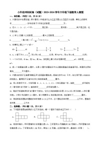 小升初冲刺试卷（试题）2023-2024学年六年级下册数学人教版