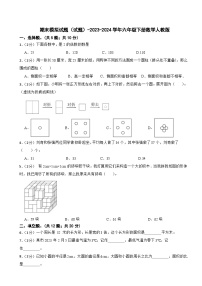 期末模拟试题（试题）-2023-2024学年六年级下册数学人教版(2)