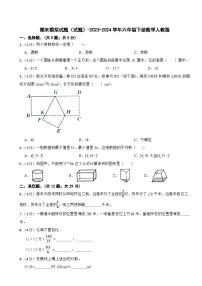 期末模拟试题（试题）-2023-2024学年六年级下册数学人教版(9)