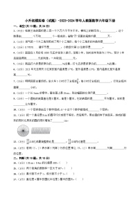 小升初模拟卷（试题）-2023-2024学年人教版数学六年级下册(3)