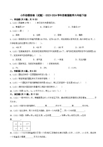 小升初模拟卷（试题）-2023-2024学年苏教版数学六年级下册(4)