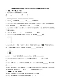 小升初模拟卷（试题）-2023-2024学年人教版数学六年级下册