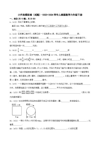 小升初模拟卷（试题）-2023-2024学年人教版数学六年级下册(1)