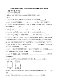 小升初模拟卷（试题）-2023-2024学年人教版数学六年级下册(1)