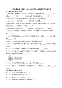 小升初模拟卷（试题）-2023-2024学年人教版数学六年级下册