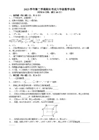 上海市民办文绮中学2023-2024学年六年级下学期期末数学试题(无答案)