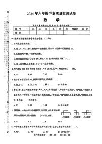 河南省驻马店市多校联考2023-2024学年六年级下学期期末考试数学试题