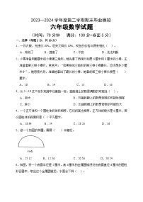 期末毕业模拟（试题）-2023-2024学年六年级下册数学青岛版