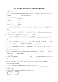 2024年山东省滨州市沾化区小升初数学模拟试卷附答案解析