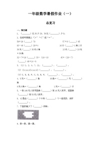 【暑假复习练】人教版一年级数学暑假作业八总复习专题练习