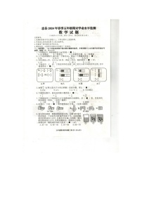 重庆市忠县2023-2024学年五年级下学期期末数学试题