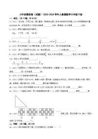 小升初模拟卷（试题）-2023-2024学年人教版数学六年级下册(13)