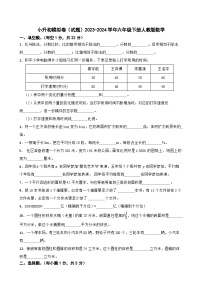 小升初模拟卷（试题）-2023-2024学年六年级下册人教版数学