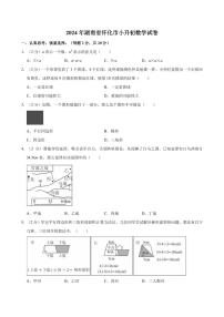 2024年湖南省怀化市小升初真题数学试卷