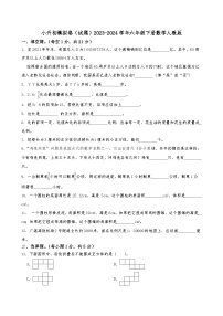 小升初模拟卷（试题）2023-2024学年六年级下册数学人教版