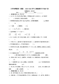 小升初押题卷（试题） 2023-2024学年六年级下册数学人教版