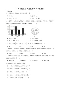 小升初模拟卷（试题）-2023-2024学年人教版数学六年级下册+