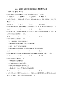 2024年四川省绵阳市东辰学校小升初数学试卷