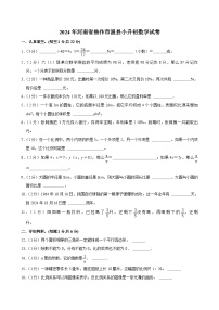 2024年河南省焦作市温县小升初数学试卷