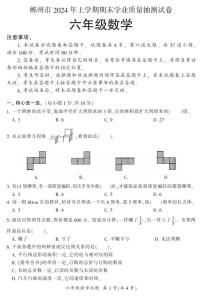 湖南省郴州市2023-2024学年六年级下学期期末学业质量抽测数学试题