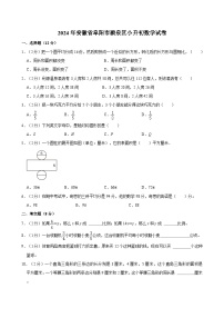 2024年安徽省阜阳市颍泉区小升初数学试卷