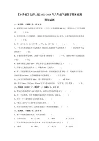 【小升初】北师大版2023-2024年六年级下册数学期末检测模拟试题（含答案）