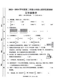 广东省湛江市2023-2024学年五年级下学期期末检测数学试题