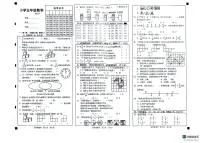 山东省菏泽市牡丹区2023-2024学年五年级下学期期末数学试题