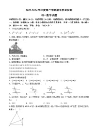 山东省淄博市临淄区2023-2024学年六年级下学期期末数学试题(无答案)