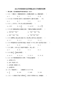 2024年河南省驻马店市确山县小升初数学试卷