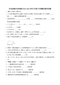 河北省衡水市故城县2023-2024学年六年级下学期期末数学试题