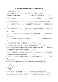 湖南省湘潭市雨湖区2023-2024学年六年级下学期期末考试数学试题