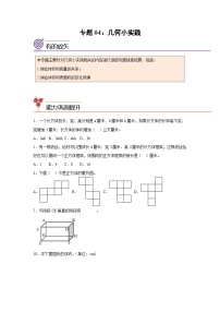 2024年五年级数学暑假专题训练 专题04：几何小实践（沪教版）