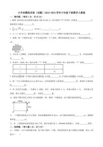 [数学]小升初模拟试卷(试题)2023～2024学年六年级下册数学人教版(有答案)