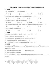 [数学]小升初模拟卷(试题)(有答案)2023～2024学年六年级下册数学北师大版