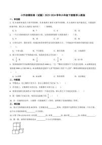 [数学]小升初模拟卷(试题)(有答案)2023～2024学年六年级下册数学人教版